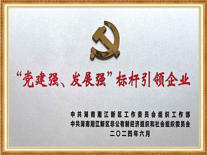 黨建強(qiáng)、發(fā)展強(qiáng)、標(biāo)桿引領(lǐng)企業(yè)（湘江新區(qū)）