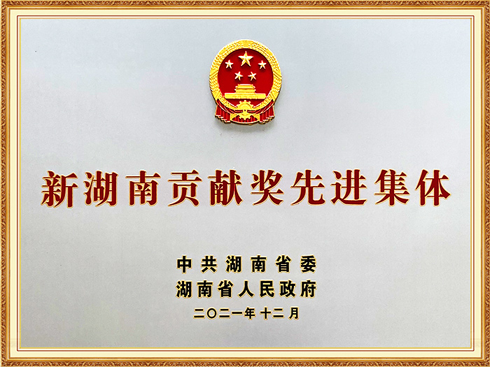 新湖南貢獻(xiàn)獎(jiǎng)先進(jìn)集體